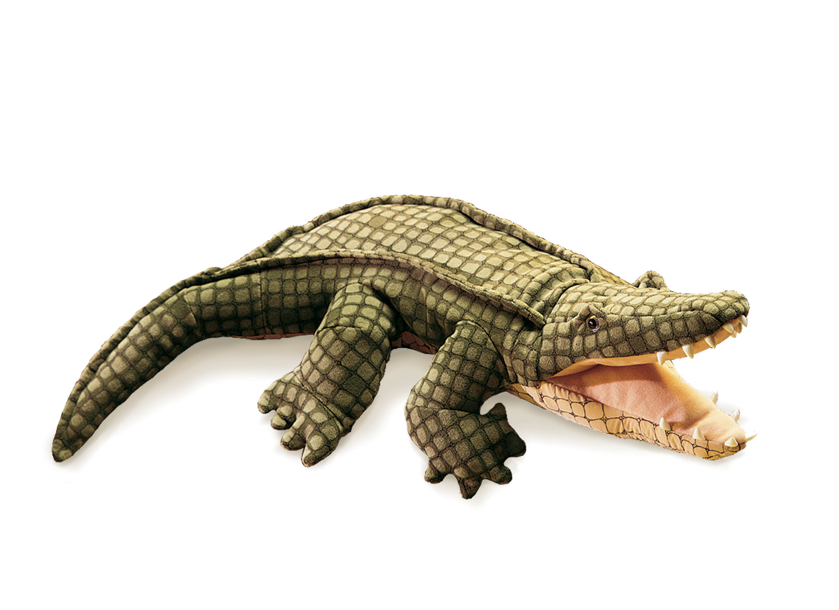 Realistic alligator puppet by Folkmanis. This beautiful puppet is made out of silk-screened velour, velveteen body and soft plastic teeth.  This puppet is 24 inches long, 13 inches wide, 2 inches tall  and weighs 7.36 oz. This item sells for $29.99.