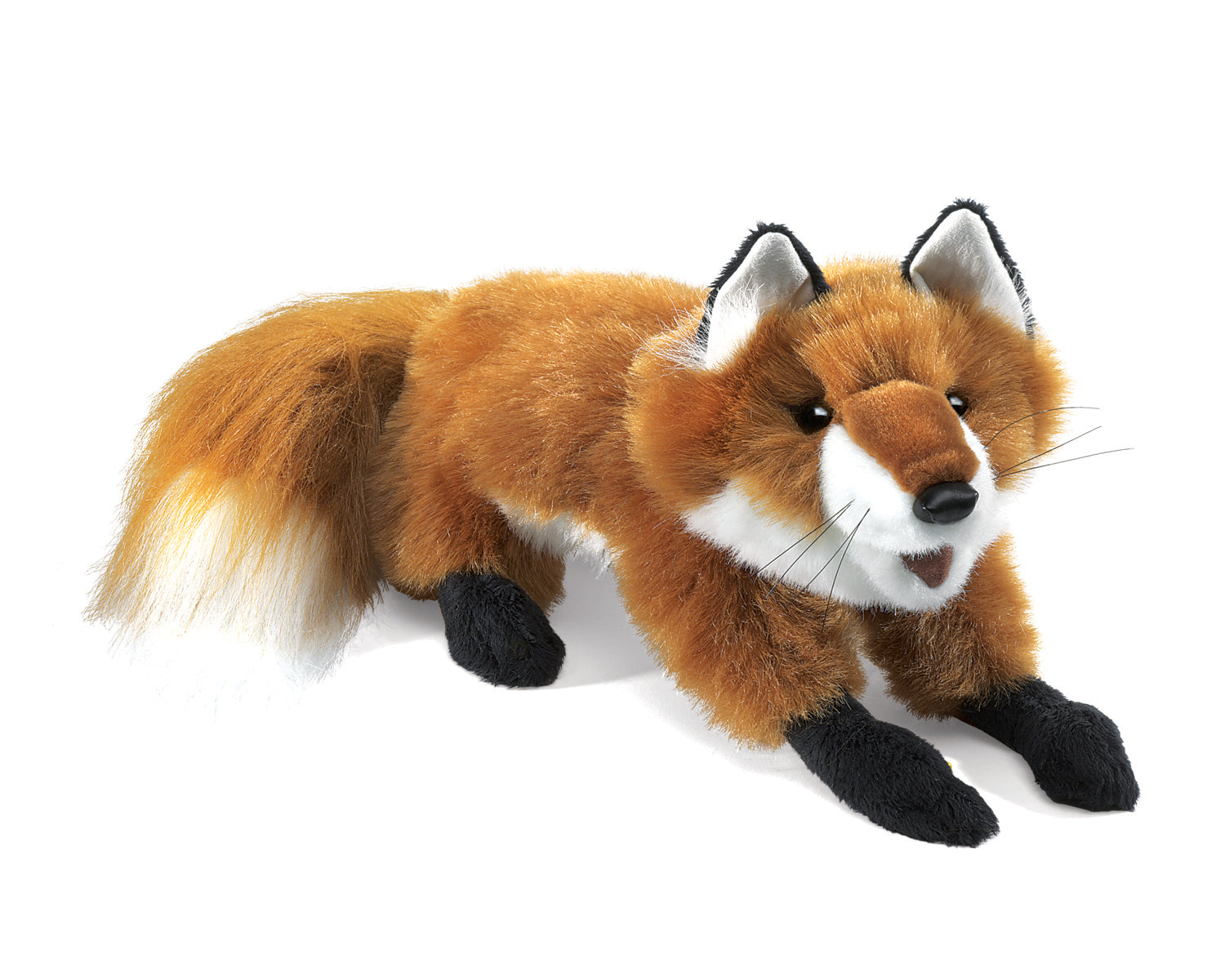 Dark orange fox, with a white snout and black paws. 