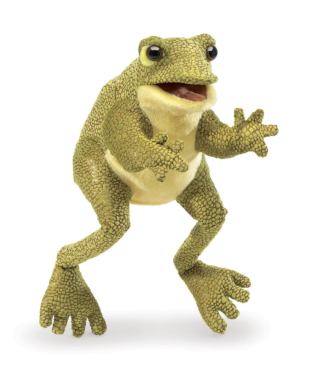 Funny Frog