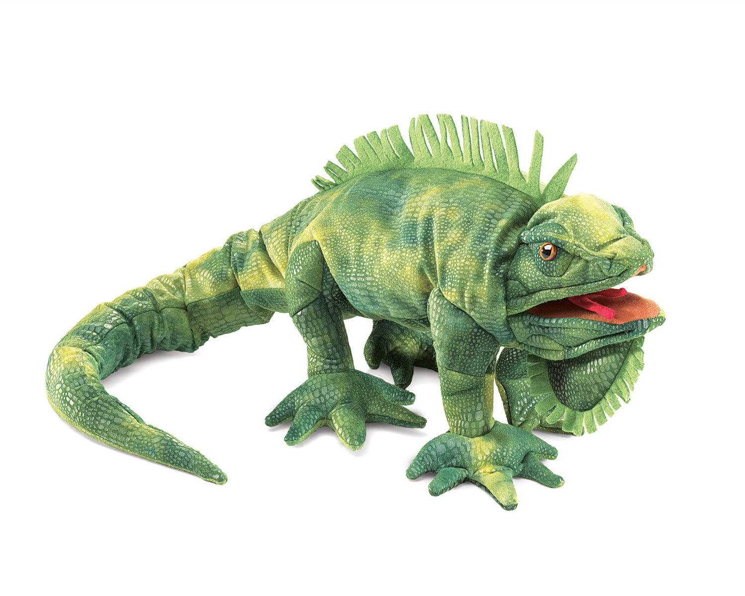 Iguana