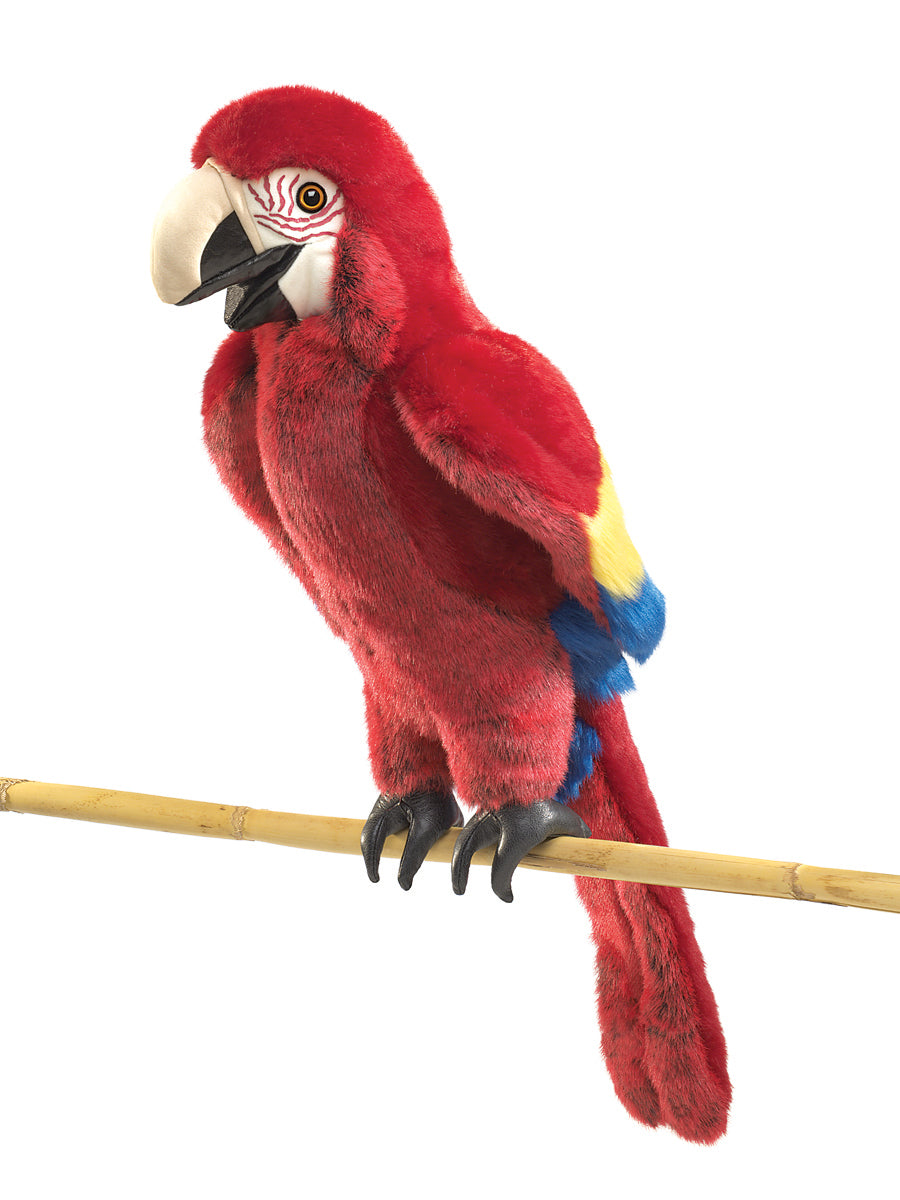 Scarlet Macaw